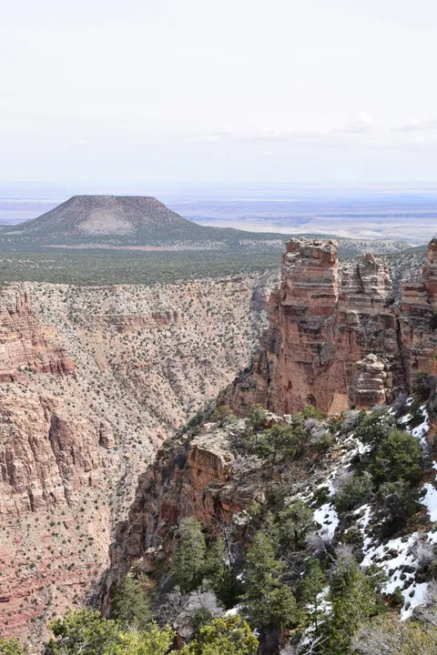 Grand Canyon rim view